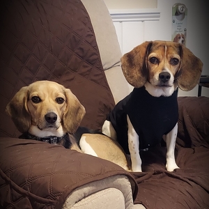 Fundraising Page: Mark Smiley